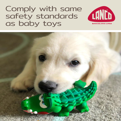 Alligator Sensory Squeaky Dog Toy Natural Rubber (Latex) Lead-Free Chemical-Free Complies to Same Safety Standards as Children S Toys Soft Squeaky (Small)